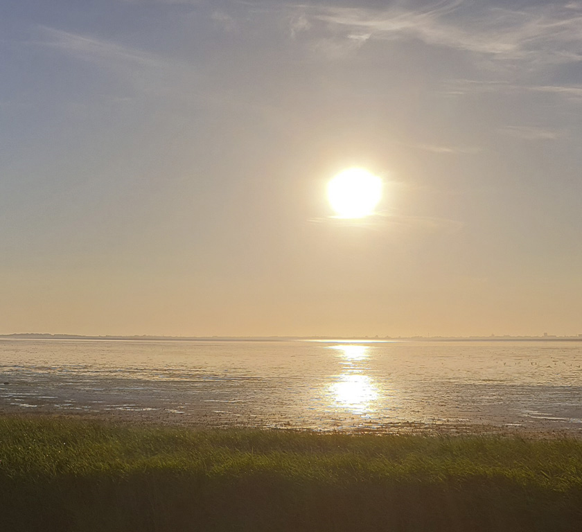 mirjam fasse uitvaartbegeleiding mogelijkheden 1