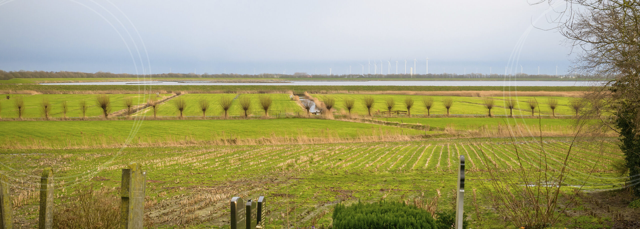 mirjam-fasse-uitvaartbegeleiding-slider-1